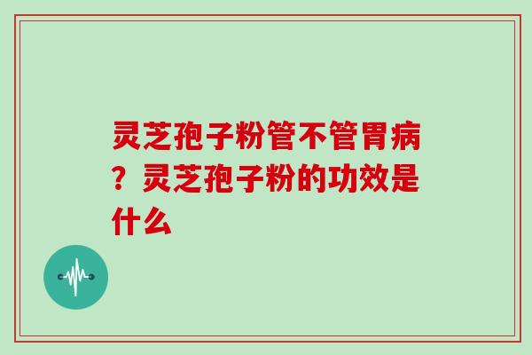 灵芝孢子粉管不管胃？灵芝孢子粉的功效是什么