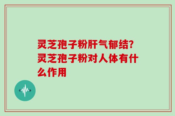 灵芝孢子粉气郁结？灵芝孢子粉对人体有什么作用