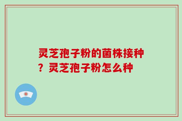 灵芝孢子粉的菌株接种？灵芝孢子粉怎么种