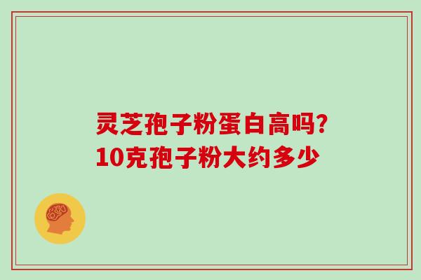 灵芝孢子粉蛋白高吗？10克孢子粉大约多少