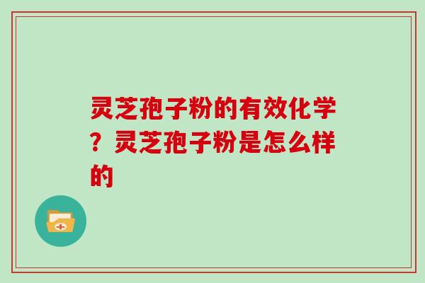 灵芝孢子粉的有效化学？灵芝孢子粉是怎么样的