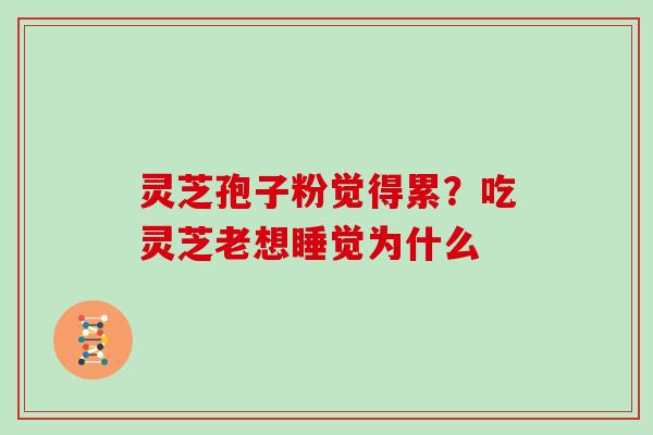 灵芝孢子粉觉得累？吃灵芝老想睡觉为什么