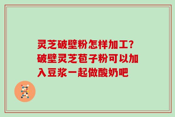 灵芝破壁粉怎样加工？破壁灵芝苞子粉可以加入豆浆一起做酸奶吧