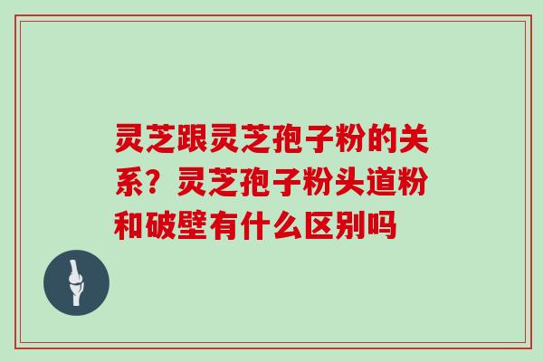 灵芝跟灵芝孢子粉的关系？灵芝孢子粉头道粉和破壁有什么区别吗