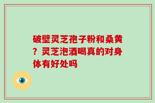 破壁灵芝孢子粉和桑黄？灵芝泡酒喝真的对身体有好处吗