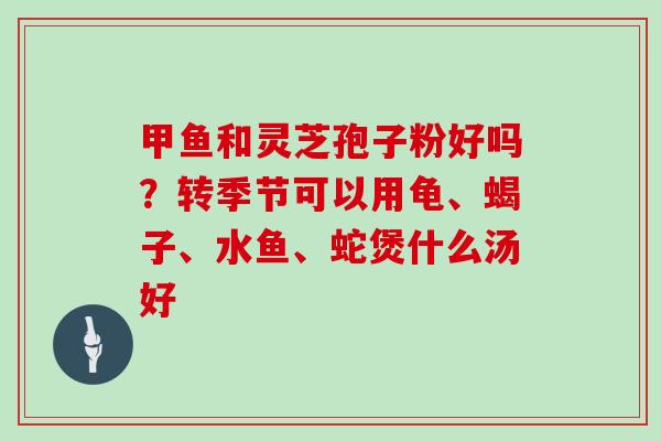 甲鱼和灵芝孢子粉好吗？转季节可以用龟、蝎子、水鱼、蛇煲什么汤好