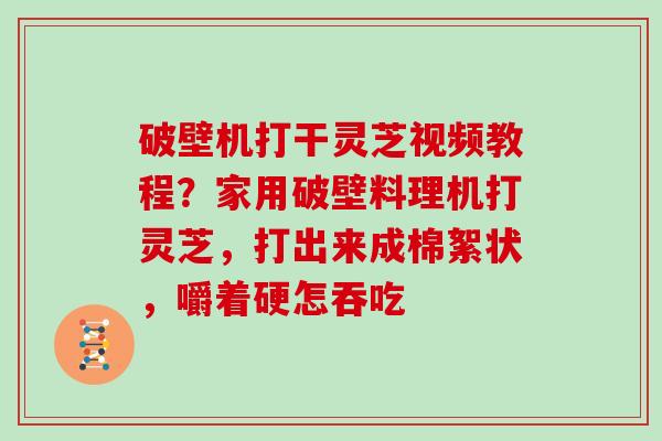 破壁机打干灵芝视频教程？家用破壁料理机打灵芝，打出来成棉絮状，嚼着硬怎吞吃