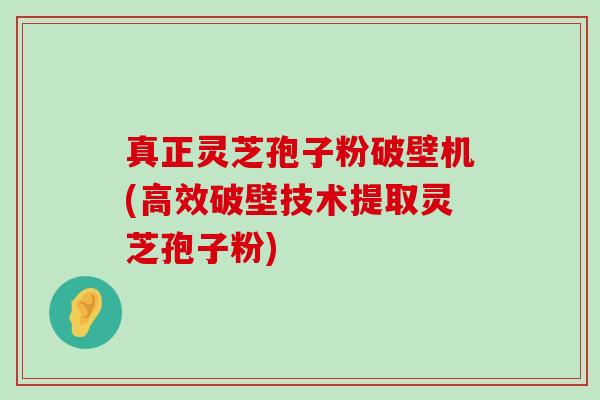 真正灵芝孢子粉破壁机(高效破壁技术提取灵芝孢子粉)