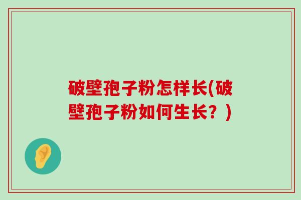 破壁孢子粉怎样长(破壁孢子粉如何生长？)