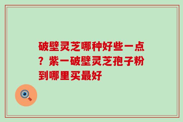 破壁灵芝哪种好些一点？紫一破壁灵芝孢子粉到哪里买好