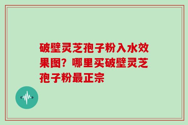 破壁灵芝孢子粉入水效果图？哪里买破壁灵芝孢子粉正宗