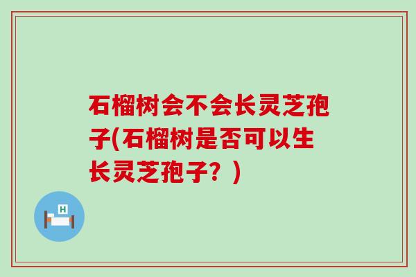 石榴树会不会长灵芝孢子(石榴树是否可以生长灵芝孢子？)