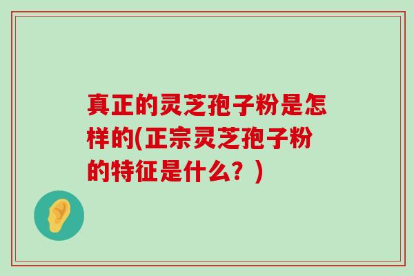 真正的灵芝孢子粉是怎样的(正宗灵芝孢子粉的特征是什么？)