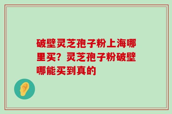 破壁灵芝孢子粉上海哪里买？灵芝孢子粉破壁哪能买到真的