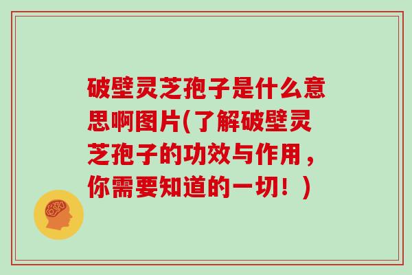 破壁灵芝孢子是什么意思啊图片(了解破壁灵芝孢子的功效与作用，你需要知道的一切！)