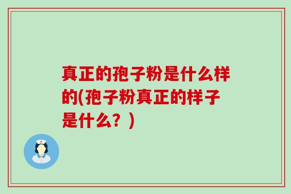 真正的孢子粉是什么样的(孢子粉真正的样子是什么？)