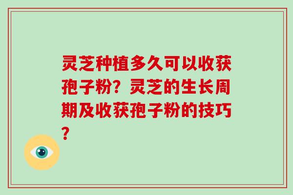 灵芝种植多久可以收获孢子粉？灵芝的生长周期及收获孢子粉的技巧？