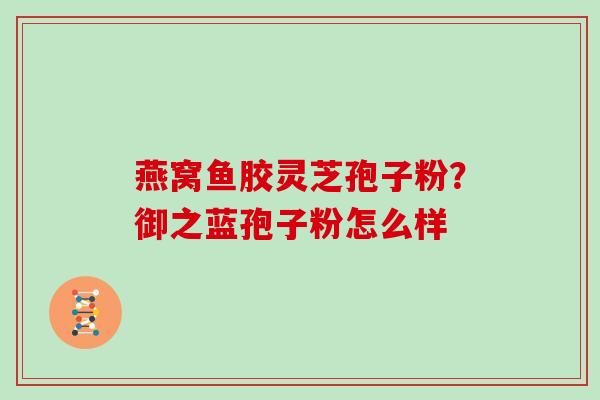 燕窝鱼胶灵芝孢子粉？御之蓝孢子粉怎么样