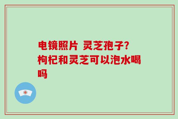 电镜照片 灵芝孢子？枸杞和灵芝可以泡水喝吗