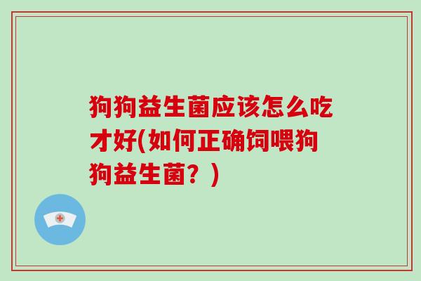 狗狗益生菌应该怎么吃才好(如何正确饲喂狗狗益生菌？)