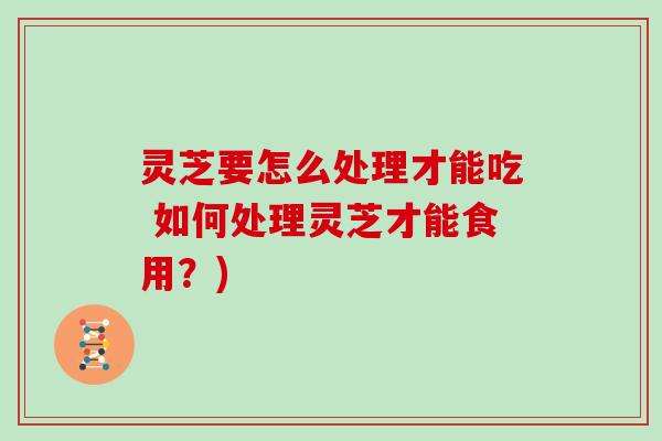 灵芝要怎么处理才能吃 如何处理灵芝才能食用？)