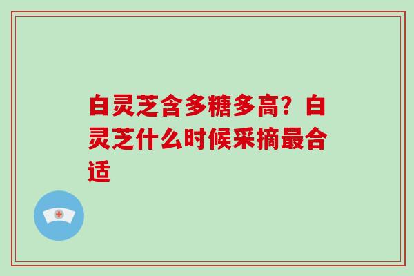 白灵芝含多糖多高？白灵芝什么时候采摘合适