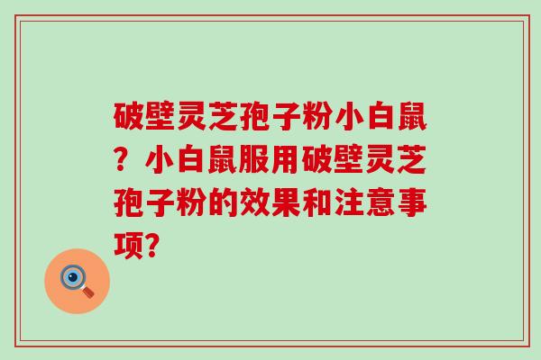 破壁灵芝孢子粉小白鼠？小白鼠服用破壁灵芝孢子粉的效果和注意事项？