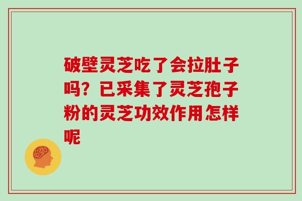 破壁灵芝吃了会拉肚子吗？已采集了灵芝孢子粉的灵芝功效作用怎样呢