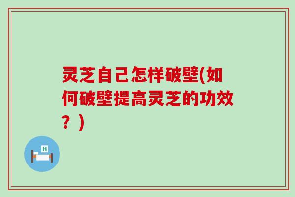 灵芝自己怎样破壁(如何破壁提高灵芝的功效？)