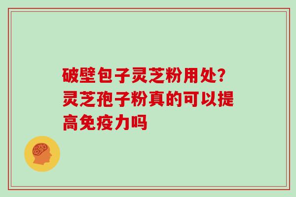 破壁包子灵芝粉用处？灵芝孢子粉真的可以提高免疫力吗