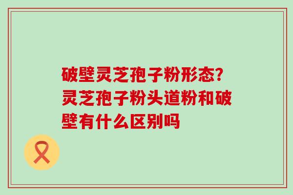 破壁灵芝孢子粉形态？灵芝孢子粉头道粉和破壁有什么区别吗