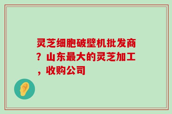 灵芝细胞破壁机批发商？山东大的灵芝加工，收购公司