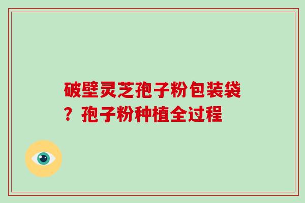 破壁灵芝孢子粉包装袋？孢子粉种植全过程