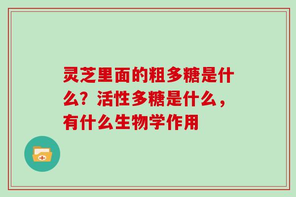 灵芝里面的粗多糖是什么？活性多糖是什么，有什么生物学作用