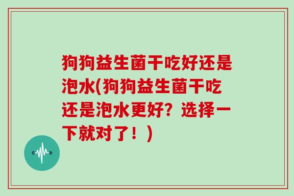 狗狗益生菌干吃好还是泡水(狗狗益生菌干吃还是泡水更好？选择一下就对了！)