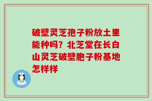 破壁灵芝孢子粉放土里能种吗？北芝堂在长白山灵芝破壁胞子粉基地怎样样