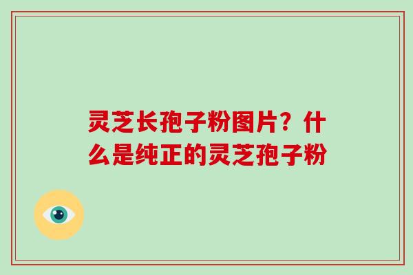 灵芝长孢子粉图片？什么是纯正的灵芝孢子粉