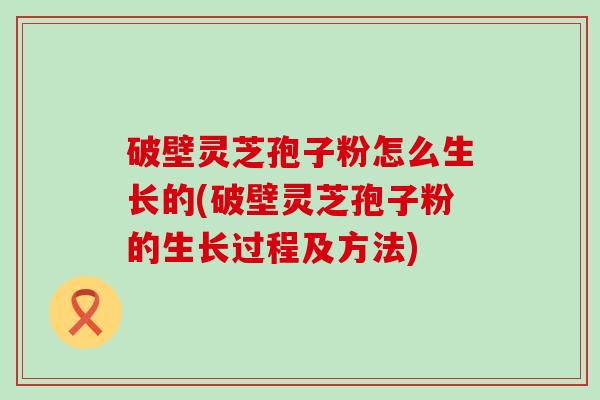 破壁灵芝孢子粉怎么生长的(破壁灵芝孢子粉的生长过程及方法)