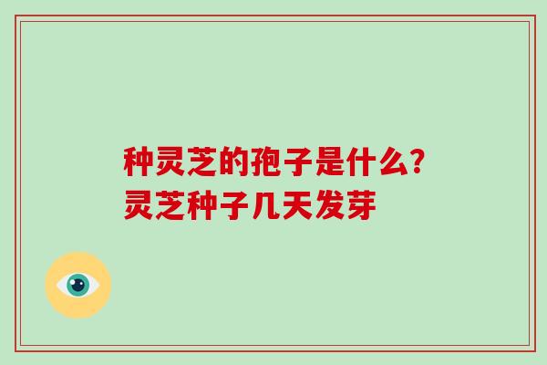 种灵芝的孢子是什么？灵芝种子几天发芽