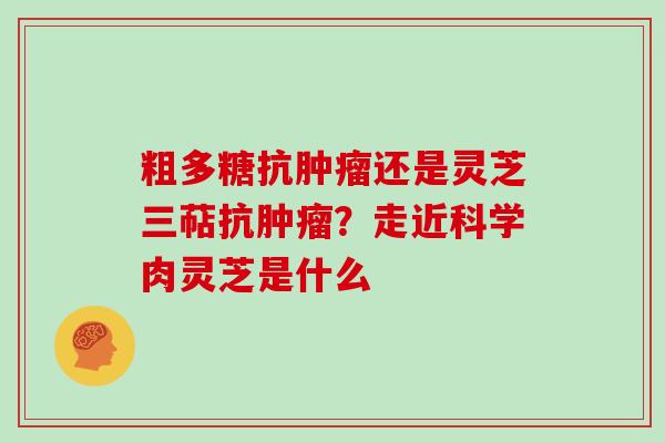 粗多糖抗还是灵芝三萜抗？走近科学肉灵芝是什么