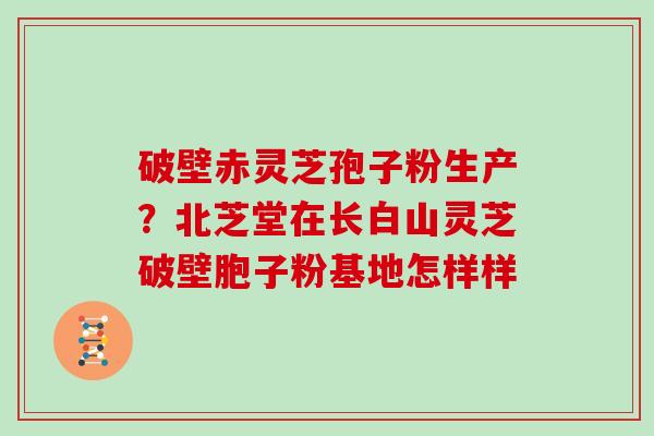 破壁赤灵芝孢子粉生产？北芝堂在长白山灵芝破壁胞子粉基地怎样样