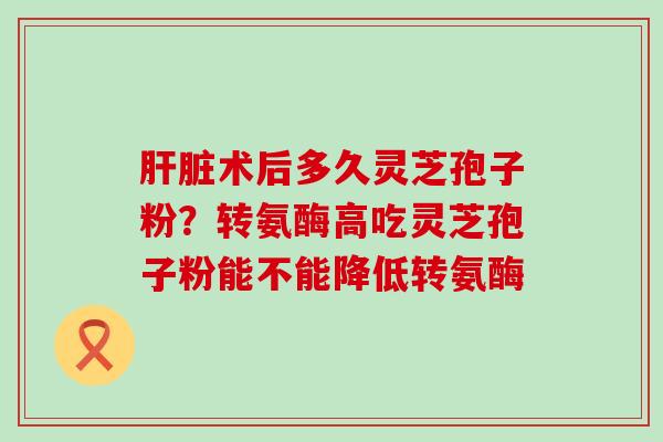 术后多久灵芝孢子粉？转氨酶高吃灵芝孢子粉能不能降低转氨酶