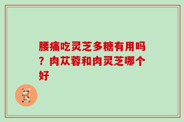 腰痛吃灵芝多糖有用吗？肉苁蓉和肉灵芝哪个好