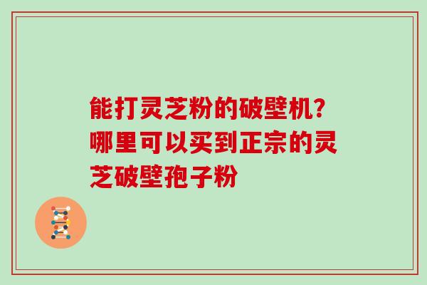 能打灵芝粉的破壁机？哪里可以买到正宗的灵芝破壁孢子粉