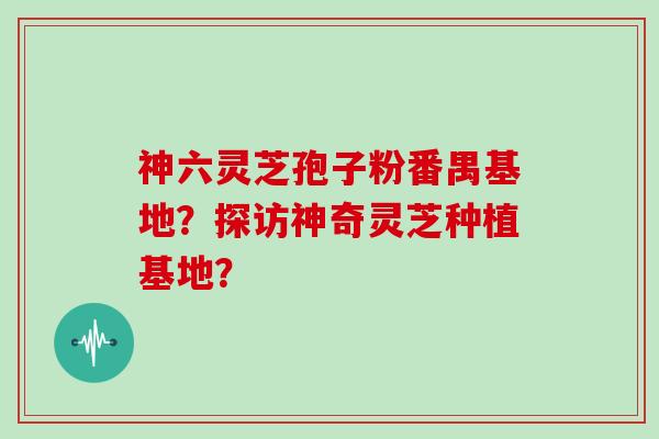 神六灵芝孢子粉番禺基地？探访神奇灵芝种植基地？