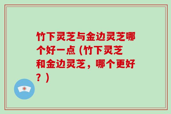 竹下灵芝与金边灵芝哪个好一点 (竹下灵芝和金边灵芝，哪个更好？)