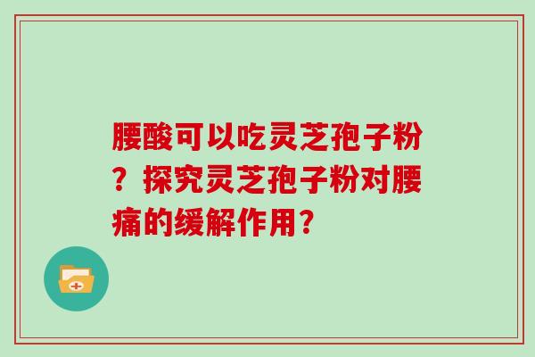 腰酸可以吃灵芝孢子粉？探究灵芝孢子粉对腰痛的缓解作用？