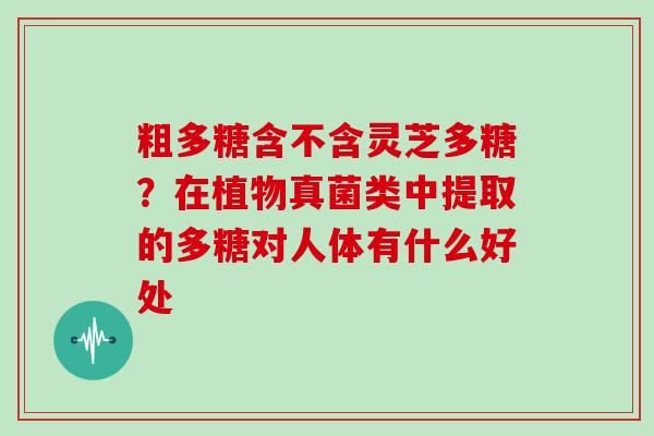 粗多糖含不含灵芝多糖？在植物真菌类中提取的多糖对人体有什么好处