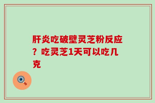 吃破壁灵芝粉反应？吃灵芝1天可以吃几克