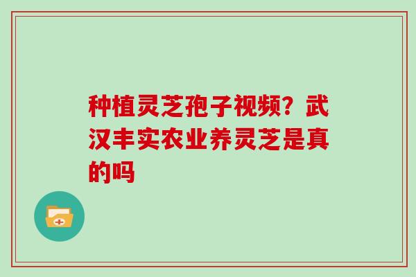 种植灵芝孢子视频？武汉丰实农业养灵芝是真的吗